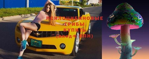 spice Алексеевка