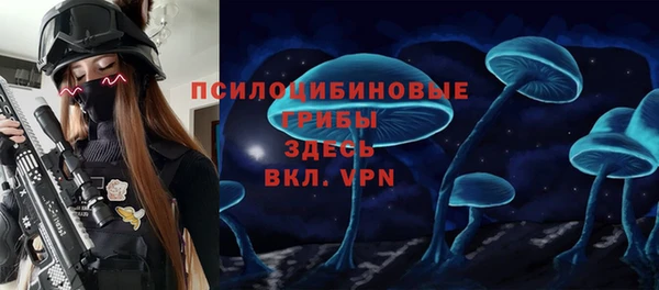 ECSTASY Алзамай