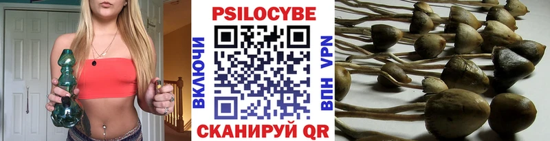 закладка  Ноябрьск  Псилоцибиновые грибы GOLDEN TEACHER 
